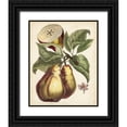thumbnail image 1 of Unknown 12x14 Black Ornate Wood Framed with Double Matting Museum Art Print Titled - Antique Pear Study I, 1 of 4
