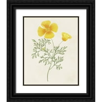 Unknown 12x14 Black Ornate Wood Framed with Double Matting Museum Art Print Titled - Flowers of the Seasons IX