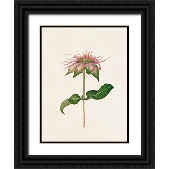 Unknown 12x14 Black Ornate Wood Framed with Double Matting Museum Art Print Titled - Mauve Garden Flowers V