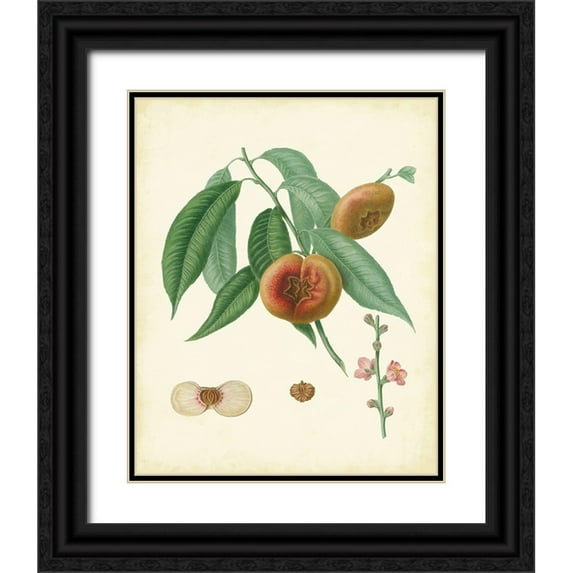 Unknown 12x14 Black Ornate Wood Framed with Double Matting Museum Art Print Titled - Plantation Peaches II