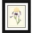 thumbnail image 1 of Unknown 12x14 Black Ornate Wood Framed with Double Matting Museum Art Print Titled - Purple Irises II, 1 of 4