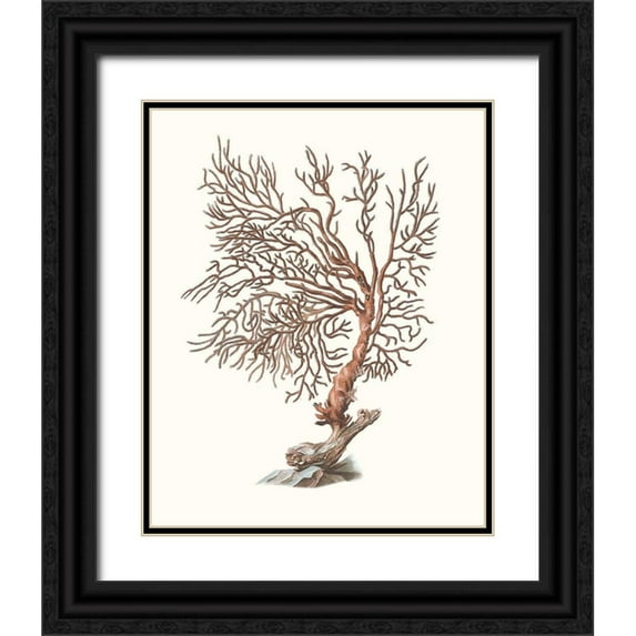 Unknown 12x14 Black Ornate Wood Framed with Double Matting Museum Art Print Titled - Terra Cotta Coral I