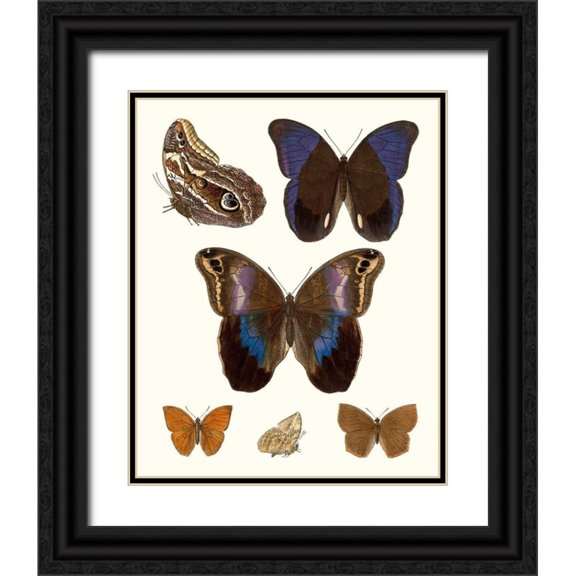 Unknown 12x14 Black Ornate Wood Framed with Double Matting Museum Art Print Titled - Violet Butterflies IV