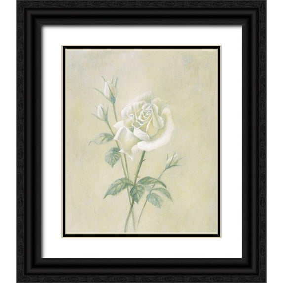 Unknown 12x14 Black Ornate Wood Framed with Double Matting Museum Art Print Titled - White Rose