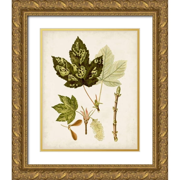 Unknown 12x14 Gold Ornate Wood Framed with Double Matting Museum Art Print Titled - Antique Leaves V