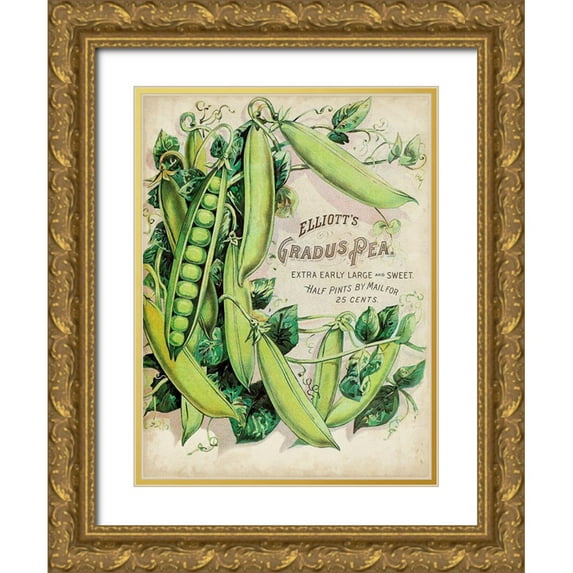 Unknown 12x14 Gold Ornate Wood Framed with Double Matting Museum Art Print Titled - Antique Seed Packets V