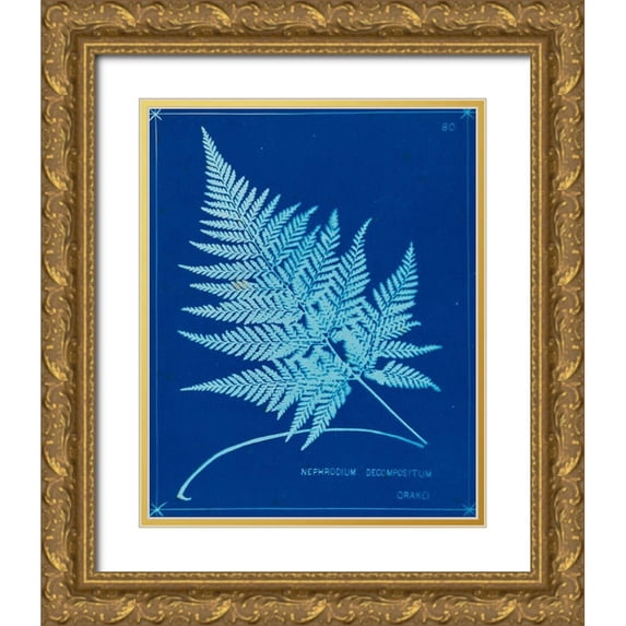 Unknown 12x14 Gold Ornate Wood Framed with Double Matting Museum Art Print Titled - Cyanotype Ferns II