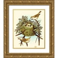 thumbnail image 1 of Unknown 12x14 Gold Ornate Wood Framed with Double Matting Museum Art Print Titled - Feathering Nest III, 1 of 4