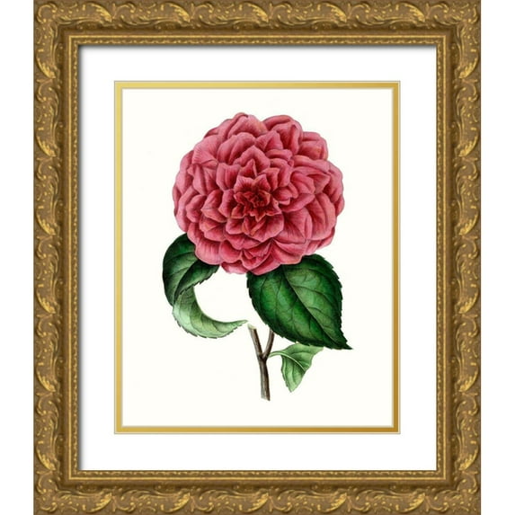 Unknown 12x14 Gold Ornate Wood Framed with Double Matting Museum Art Print Titled - Grand Blooms III