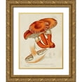 thumbnail image 1 of Unknown  12x14 Gold Ornate Wood Framed with Double Matting Museum Art Print Titled - Mushroom Varieties VII, 1 of 4