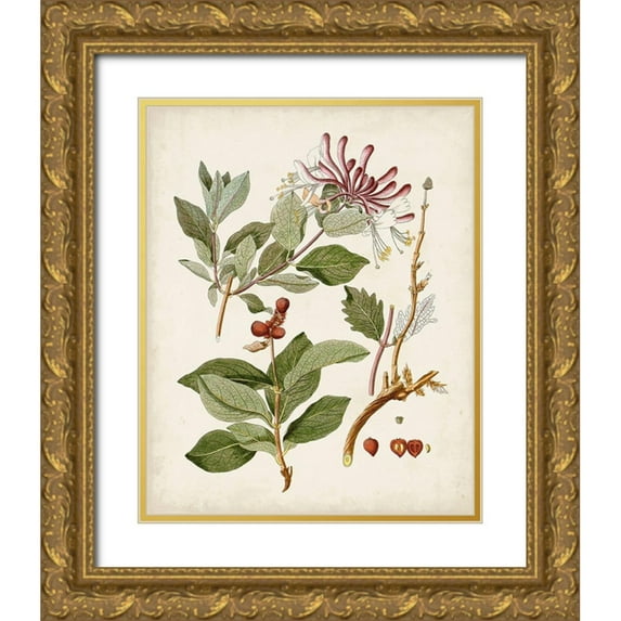 Unknown 12x14 Gold Ornate Wood Framed with Double Matting Museum Art Print Titled - Vintage Flowering Trees III
