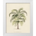 thumbnail image 1 of Unknown 12x14 White Modern Wood Framed Museum Art Print Titled - Les Palmiers III, 1 of 4