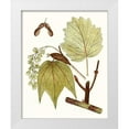 thumbnail image 1 of Unknown 12x14 White Modern Wood Framed Museum Art Print Titled - Maple Leaves II, 1 of 4