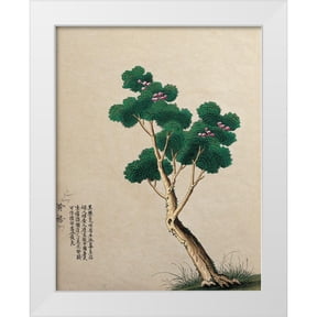 Unknown 12x14 White Modern Wood Framed Museum Art Print Titled - Oriental Tree