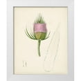 thumbnail image 1 of Unknown  12x14 White Modern Wood Framed Museum Art Print Titled - Watercolor Botanical Sketches VIII, 1 of 4