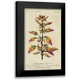 thumbnail image 1 of Unknown 12x18 Black Modern Framed Museum Art Print Titled - Gardeners Guide VI, 1 of 5
