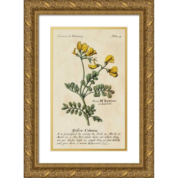 Unknown 12x18 Gold Ornate Wood Framed with Double Matting Museum Art Print Titled - Gardeners Guide I