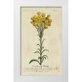 thumbnail image 1 of Unknown 12x18 White Modern Wood Framed Museum Art Print Titled - Gardeners Guide VIII, 1 of 4