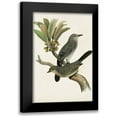 thumbnail image 1 of Unknown 13x18 Black Modern Framed Museum Art Print Titled - Antique Bird Trio I, 1 of 5