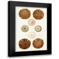 thumbnail image 1 of Unknown 13x18 Black Modern Framed Museum Art Print Titled - Coastal Curiosity III, 1 of 5