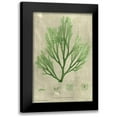 thumbnail image 1 of Unknown 13x18 Black Modern Framed Museum Art Print Titled - Emerald Seaweed II, 1 of 5