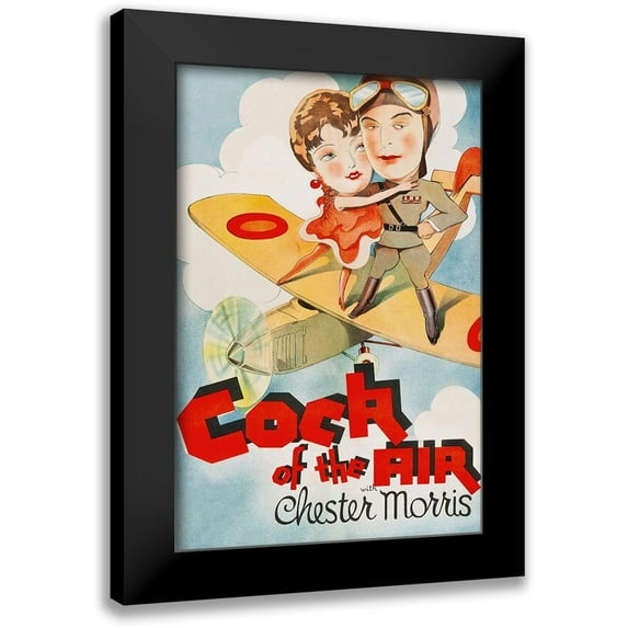 Unknown 13x18 Black Modern Framed Museum Art Print Titled - Vintage Film Posters: Cock of the Air