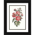 thumbnail image 1 of Unknown  13x18 Black Ornate Wood Framed with Double Matting Museum Art Print Titled - Flowering Hibiscus IV, 1 of 4