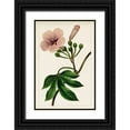 thumbnail image 1 of Unknown 13x18 Black Ornate Wood Framed with Double Matting Museum Art Print Titled - Mauve Botanicals I, 1 of 4