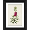 thumbnail image 1 of Unknown  13x18 Black Ornate Wood Framed with Double Matting Museum Art Print Titled - Pretty Pink Botanicals VII, 1 of 4