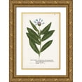 thumbnail image 1 of Unknown 13x18 Gold Ornate Wood Framed with Double Matting Museum Art Print Titled - Nature Printed Botanicals II, 1 of 4