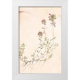 thumbnail image 1 of Unknown 13x18 White Modern Wood Framed Museum Art Print Titled - Thyme, 1 of 4