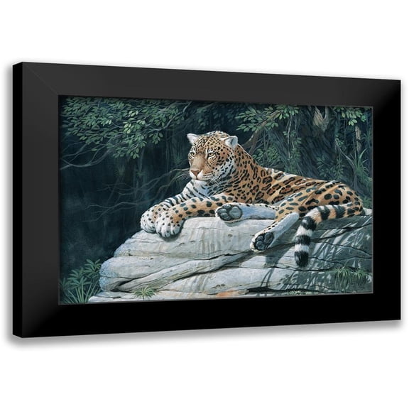 Unknown 14x11 Black Modern Framed Museum Art Print Titled - Jaguar