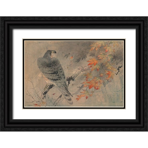Unknown 14x11 Black Ornate Wood Framed with Double Matting Museum Art Print Titled - Eagle on a maple branch
