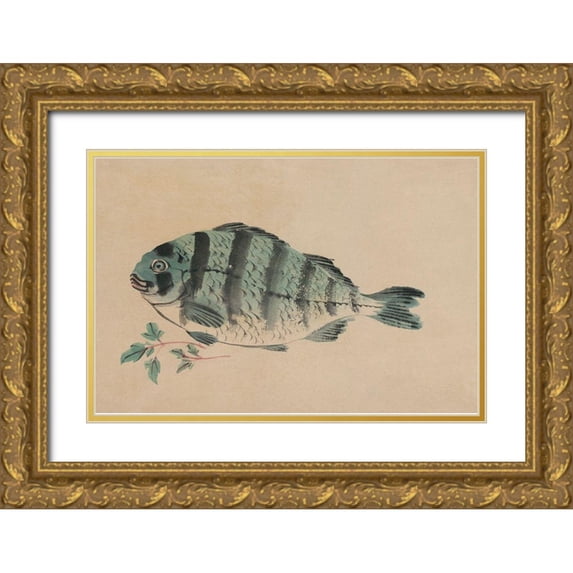 Unknown 14x11 Gold Ornate Wood Framed with Double Matting Museum Art Print Titled - Striped Bass