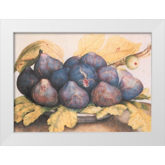 Unknown 14x11 White Modern Wood Framed Museum Art Print Titled - Figs