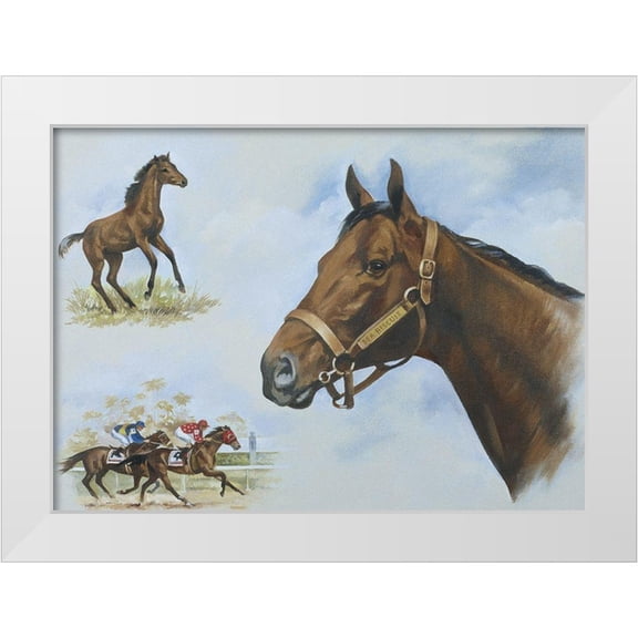 Unknown 14x11 White Modern Wood Framed Museum Art Print Titled - Thoroughbred I