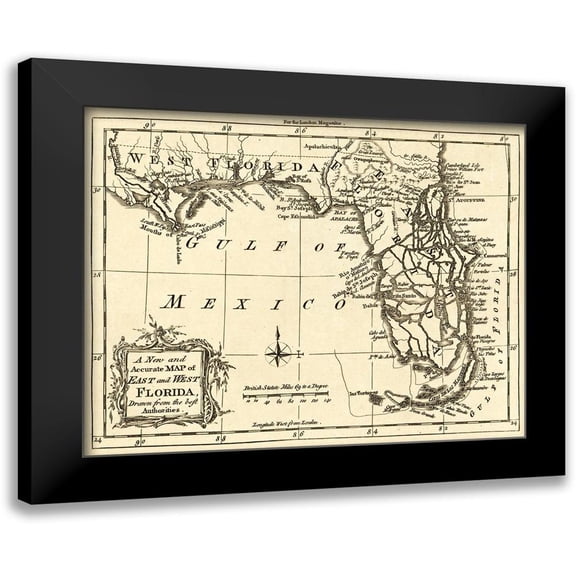 Unknown 14x12 Black Modern Framed Museum Art Print Titled - Florida -1765