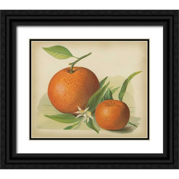 Unknown 14x12 Black Ornate Wood Framed with Double Matting Museum Art Print Titled - Orange Study II