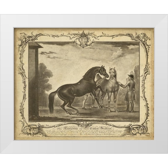 Unknown 14x12 White Modern Wood Framed Museum Art Print Titled - Distinguished Horses III