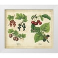 thumbnail image 1 of Unknown 14x12 White Modern Wood Framed Museum Art Print Titled - Kitchen Fruits III, 1 of 4