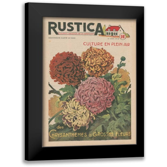 Unknown 14x18 Black Modern Framed Museum Art Print Titled - Plantez Des Chrysanthemes