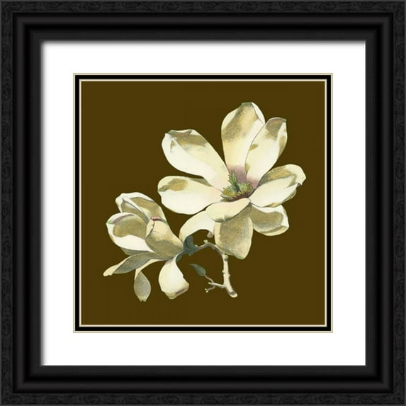 Unknown 15x15 Black Ornate Wood Framed with Double Matting Museum Art Print Titled - Magnolia on Taupe I