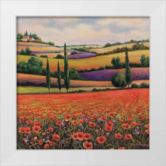 Unknown 15x15 White Modern Wood Framed Museum Art Print Titled - Fields of Poppies I