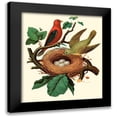 thumbnail image 1 of Unknown 15x17 Black Modern Framed Museum Art Print Titled - Feathering Nest II, 1 of 5