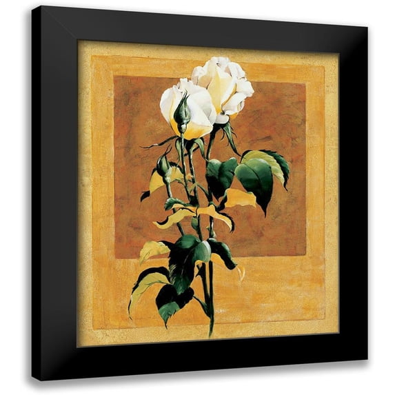 Unknown 15x17 Black Modern Framed Museum Art Print Titled - White Rose III