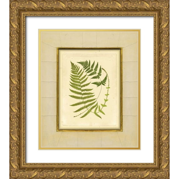 Unknown 15x17 Gold Ornate Wood Framed with Double Matting Museum Art Print Titled - Fern with Crackle Mat III