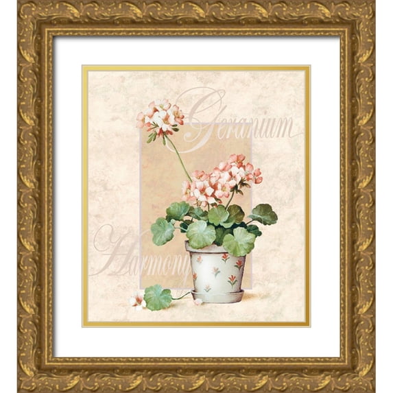 Unknown 15x17 Gold Ornate Wood Framed with Double Matting Museum Art Print Titled - Giranium