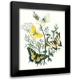 thumbnail image 1 of Unknown 15x18 Black Modern Framed Museum Art Print Titled - British Butterflies II, 1 of 5