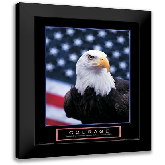 Unknown 15x18 Black Modern Framed Museum Art Print Titled - Courage - Eagle and Flag