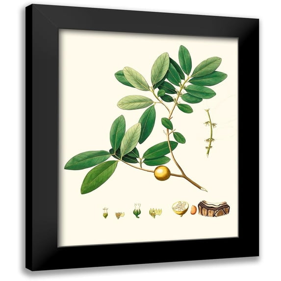 Unknown 15x18 Black Modern Framed Museum Art Print Titled - Spring Green Foliage VII